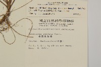 臺灣鬼督郵藏品圖，第2張