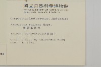 臺灣鬼督郵藏品圖，第2張