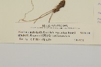 臺灣鬼督郵藏品圖，第3張