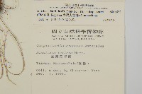 臺灣鬼督郵藏品圖，第2張