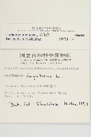 水花菜藏品圖，第2張