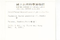 薺藏品圖，第2張