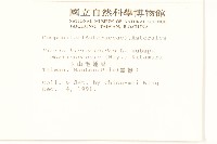 玉山毛蓮菜藏品圖，第2張