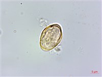 登錄號:S006573藏品圖，第2張