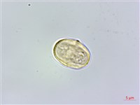 登錄號:S006573藏品圖，第3張