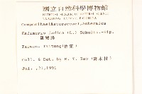 雞兒腸藏品圖，第2張