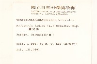 雞兒腸藏品圖，第2張