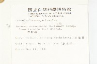 馬鞍藤藏品圖，第2張