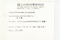 土丁桂藏品圖，第2張