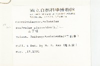 土丁桂藏品圖，第2張