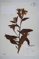 康復力藏品圖，第1張