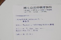 康復力藏品圖，第2張