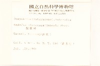 蟛蜞菊藏品圖，第2張