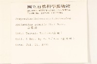 金鈕扣、鐵拳頭藏品圖，第2張