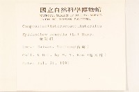 金鈕扣、鐵拳頭藏品圖，第2張