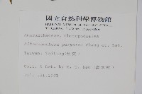 登錄號:S006721藏品圖，第2張