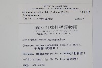 武靴藤藏品圖，第2張