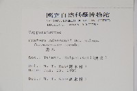 魚木藏品圖，第2張