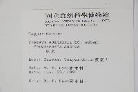 魚木藏品圖，第2張