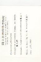 軟毛柿藏品圖，第2張