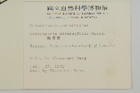 刺裸實、變葉裸實藏品圖，第2張