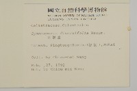 刺裸實、變葉裸實藏品圖，第2張