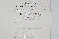 爵床藏品圖，第2張