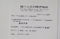 蘭嵌馬藍藏品圖，第2張