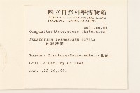 臺灣澤蘭藏品圖，第2張