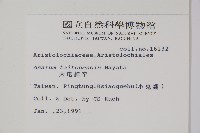 大屯細辛藏品圖，第2張