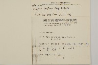 闊葉樓梯草藏品圖，第2張