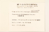 臺灣澤蘭藏品圖，第2張