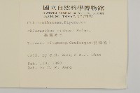 臺灣及己藏品圖，第2張