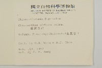 臺灣及己藏品圖，第2張