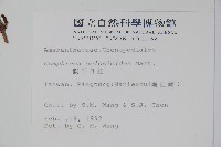 蓮子草藏品圖，第2張