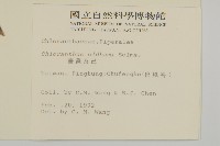 臺灣及己藏品圖，第2張