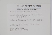多子漿果莧藏品圖，第2張