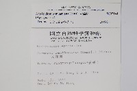 大錦蘭藏品圖，第2張