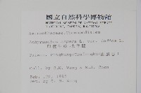 印度牛膝、土牛藤藏品圖，第2張