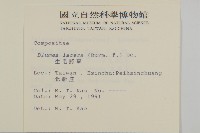 生毛將軍藏品圖，第2張