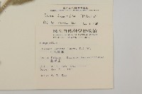 毛將軍藏品圖，第2張