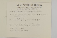 雞觴刺、島薊藏品圖，第2張