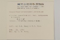 雞觴刺、島薊藏品圖，第2張