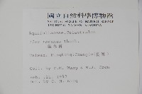 鐵冬青藏品圖，第2張