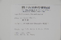 鐵冬青藏品圖，第2張