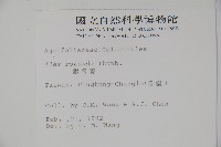 鐵冬青藏品圖，第2張