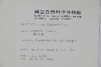 鐵冬青藏品圖，第2張