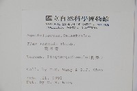 鐵冬青藏品圖，第2張