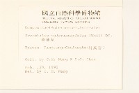 飛機草藏品圖，第2張