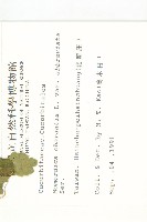 小苦瓜藏品圖，第2張